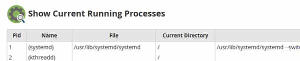 How To Show Current Running Processes in WHM | Hostwinds