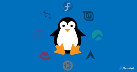 Linux 분포는 무엇입니까 : 포괄적 인 가이드 나타난 그림